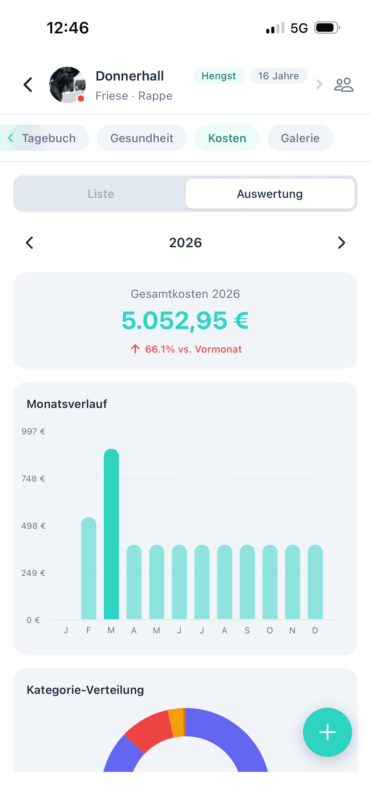 Kostenauswertung mit Monatsverlauf und Kategorien